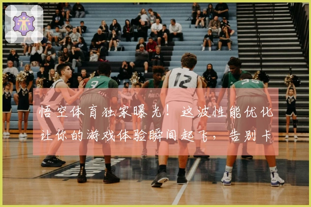 悟空体育独家曝光！这波性能优化让你的游戏体验瞬间起飞，告别卡顿！